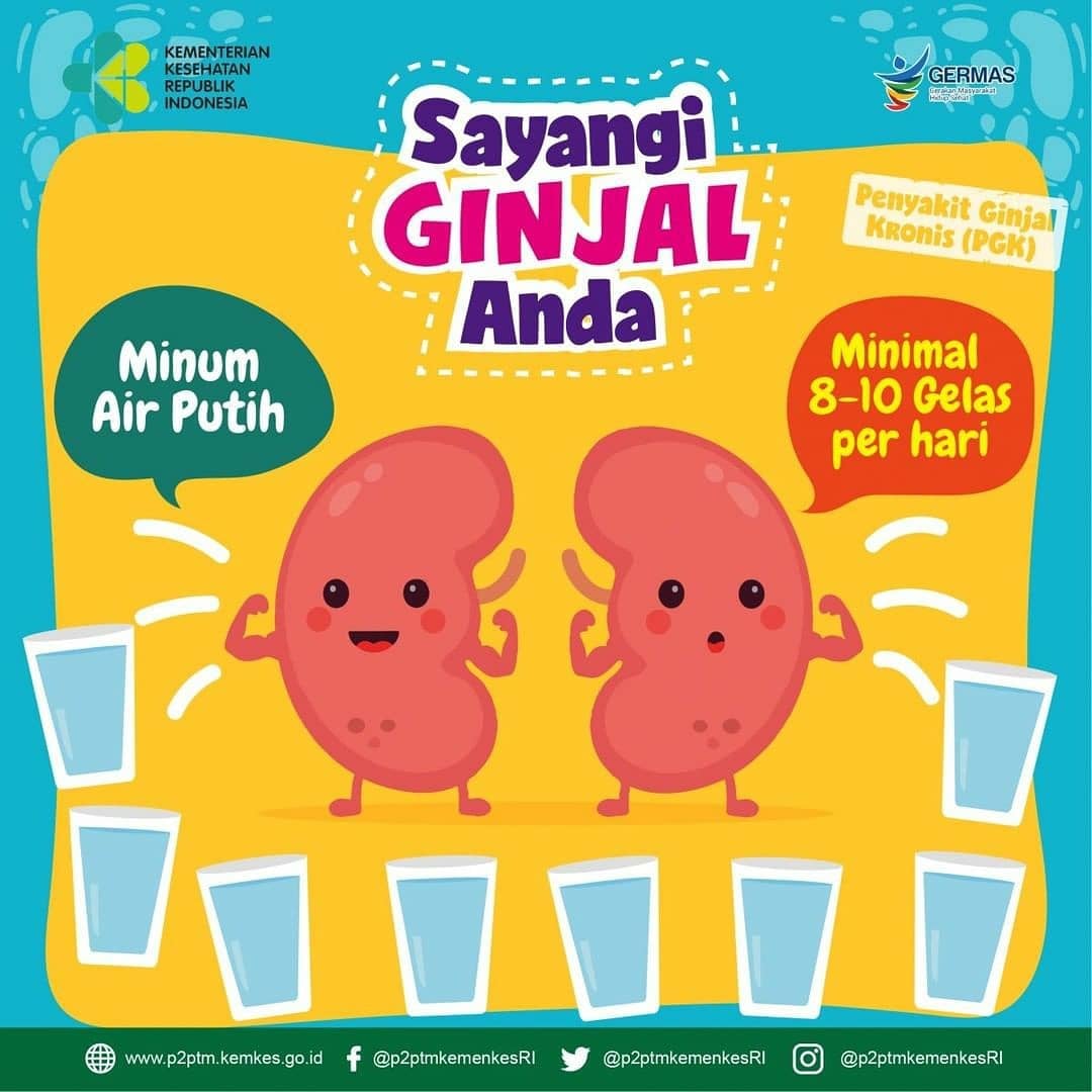 Cara Mencegah Penyakit Ginjal Kronis dengan CERDIK.